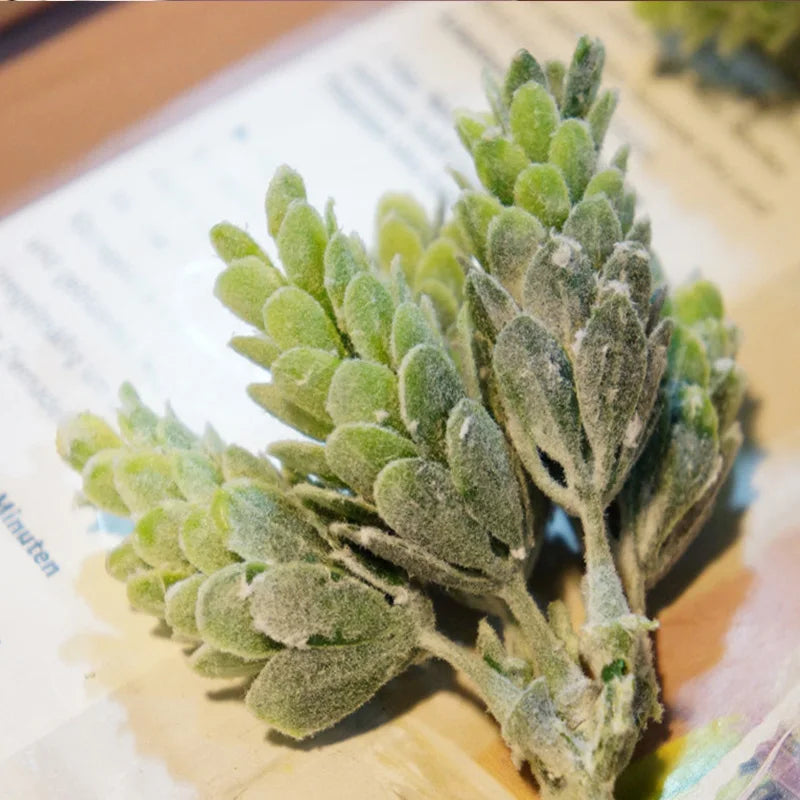 Faux Succulent Bundle