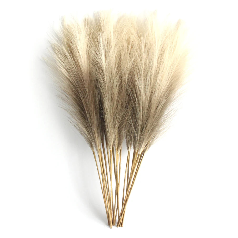 Table Pampas Grass Stems – Set of 6