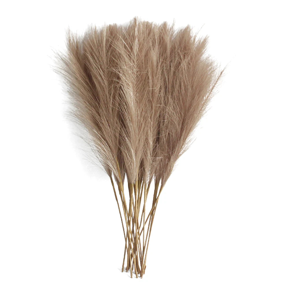 Table Pampas Grass Stems – Set of 6