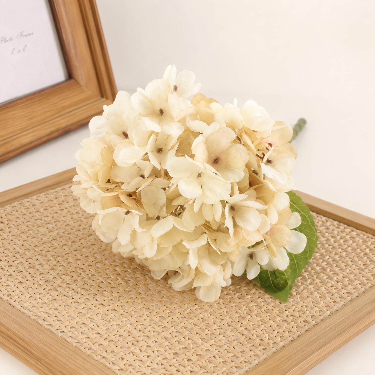Simply Elegant Hydrangea Stem